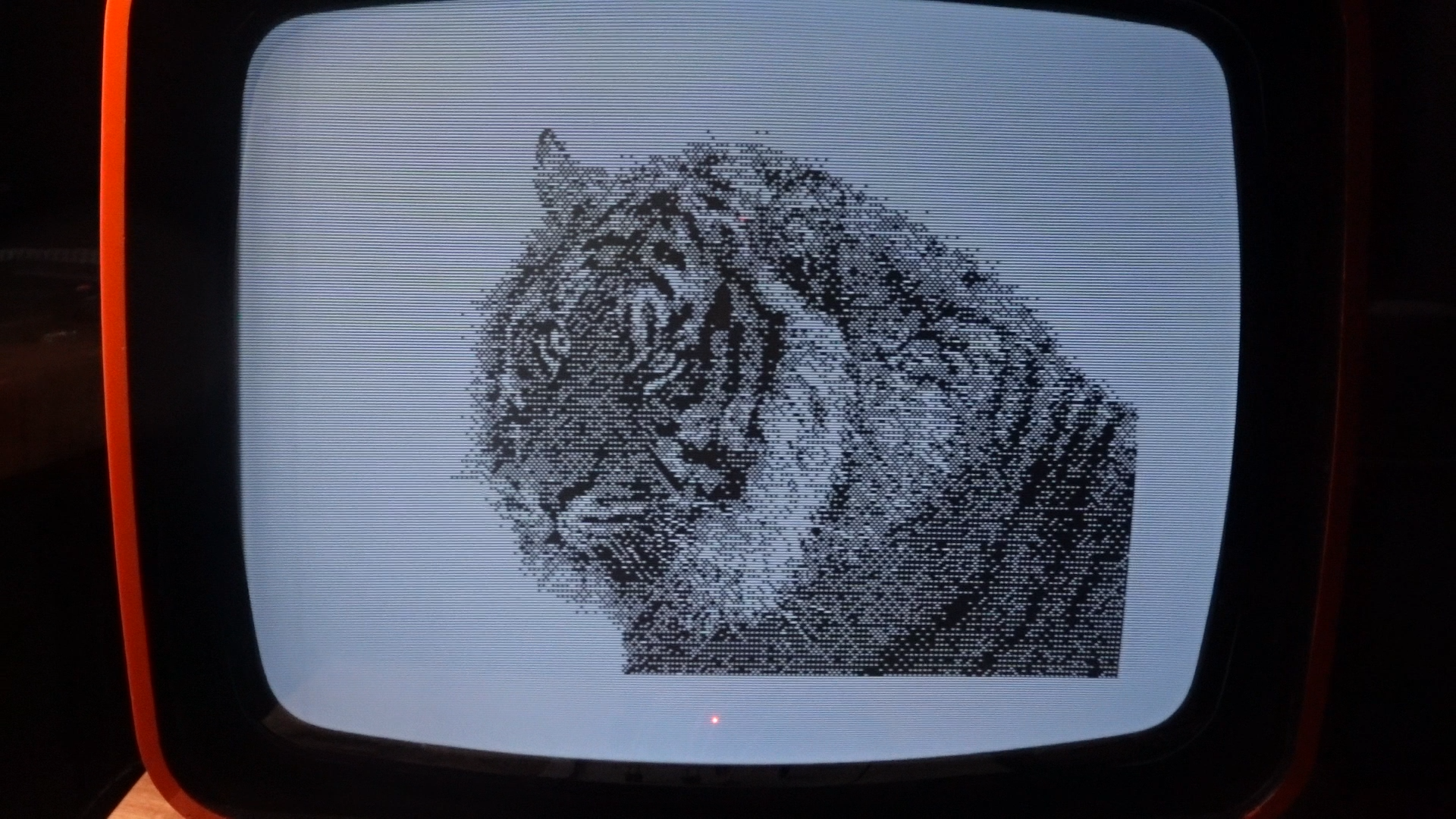 High resolution image of a lion